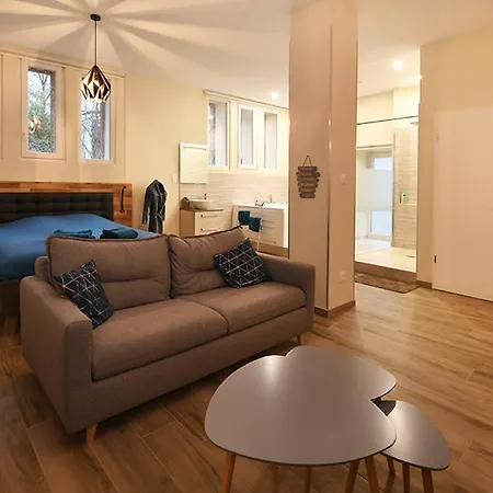 شقة Loft Detente ستراسبورغ